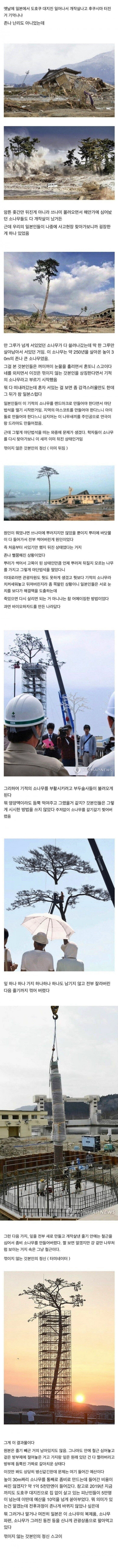 일본에서 일어난 기적의 사건