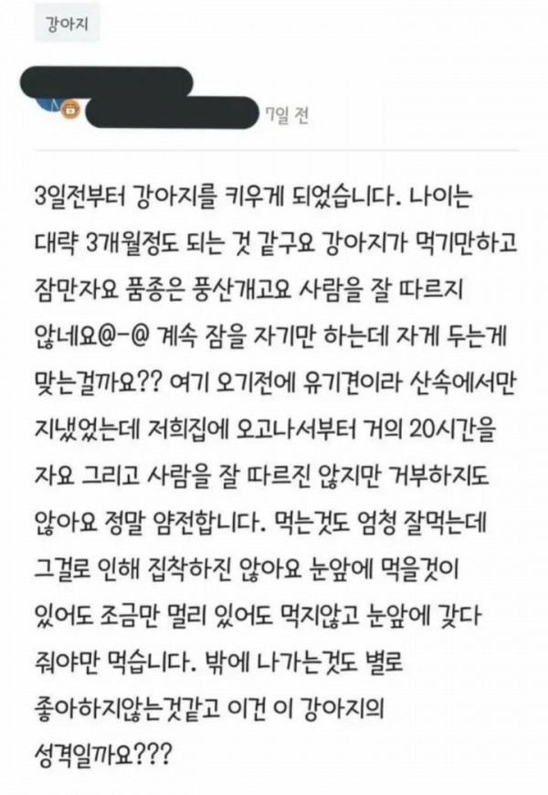 강아지가 너무 잡니다. 이유가 있을까요?.jpg